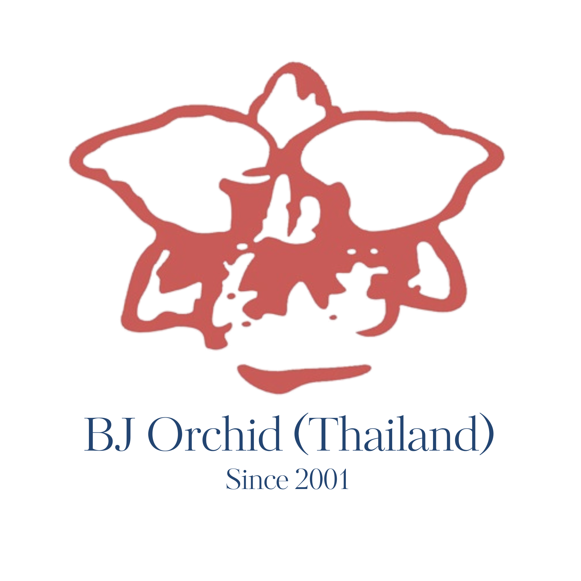 BJ Orchid (Thailand)