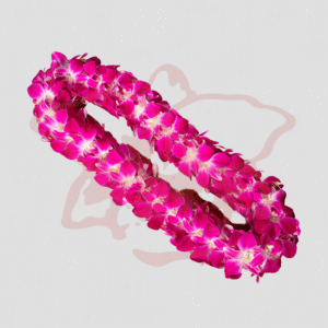 Double Lei - Sonia